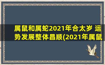 属鼠和属蛇2021年合太岁 运势发展整体昌顺(2021年属鼠和属蛇合太岁，运势大发展，昌顺之年！)